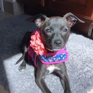 Meet your Posher, Elisa